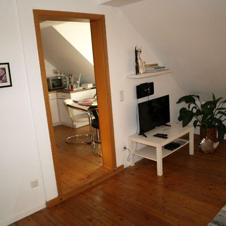 Ferienwohnung Klatschmohn Speyer Exteriör bild