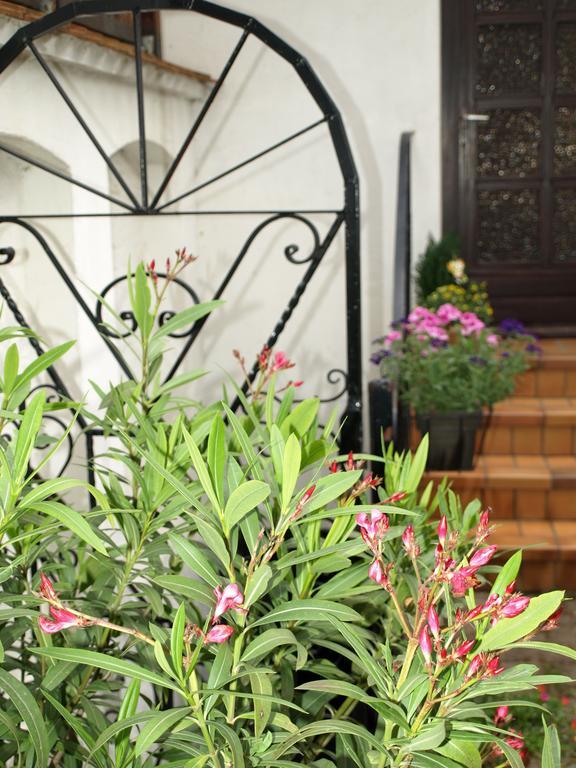 Ferienwohnung Klatschmohn Speyer Exteriör bild